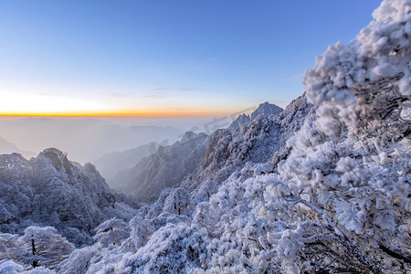 山峰白雪和树木摄影图