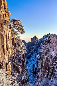 冬天松树雪和山谷摄影图