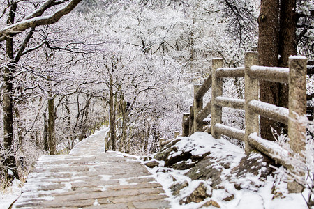 冬天下雪道路摄影图