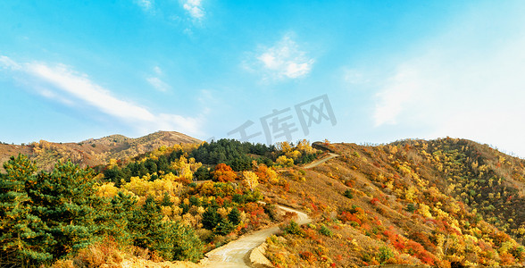 彩林摄影照片_内蒙古苏木山秋季景观摄影图