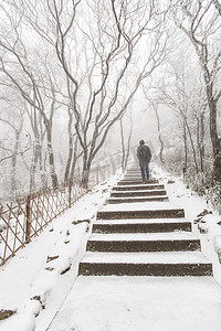 冬季树木人物和白雪摄影图