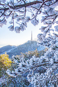 冬季山摄影照片_冬季树木白雪摄影图