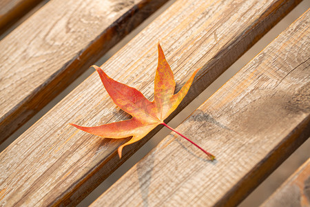 秋天木板上的枫叶