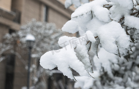 节气冬天摄影照片_24节气小雪