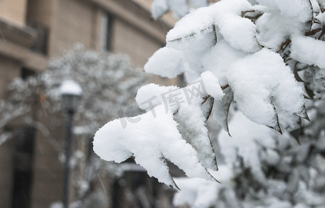 小寒节气摄影照片_24节气小雪