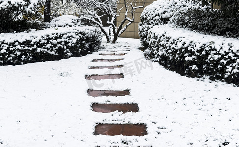 下雪后的小路