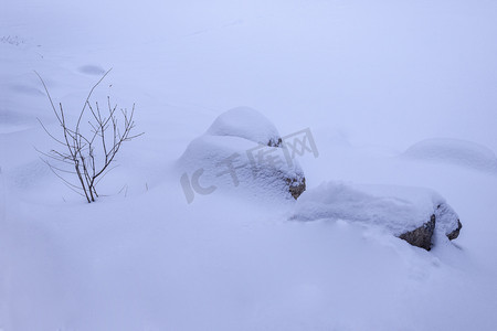 内蒙古冬季雪景特写