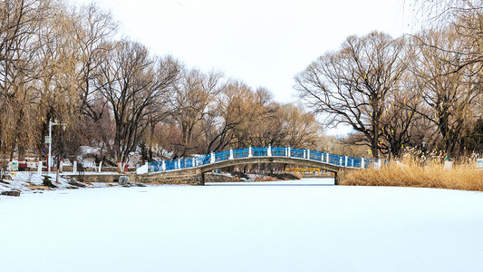 呼和浩特满嘟海公园冬季雪景