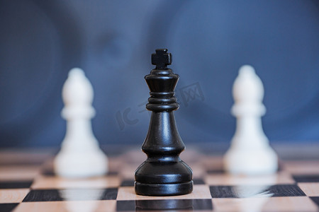 国际象棋棋盘上的黑王和白象棋子