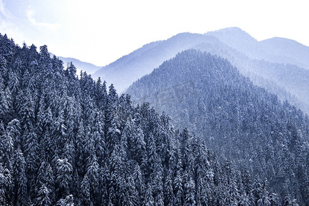 雪景摄影照片_冬季旅游风景雪景