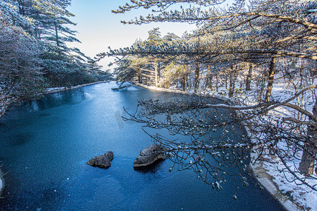 冬天降温摄影照片_冬天松树白雪和冰摄影图