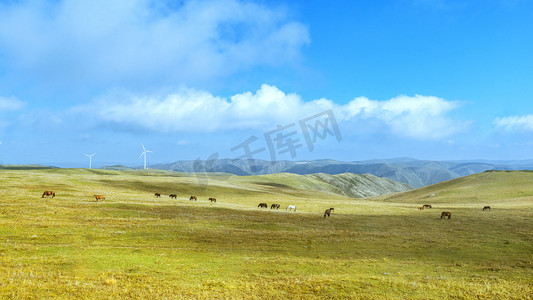 内蒙古高山草原牧场秋季风光摄影图