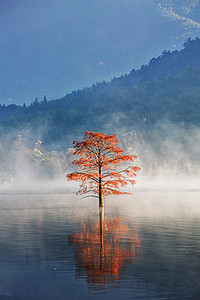 秋天水彬树水面和山峰摄影图