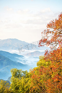 秋天山峰云雾和红叶的照片