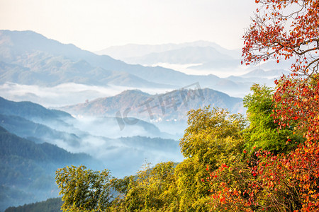 秋天云雾山峰和红叶的照片