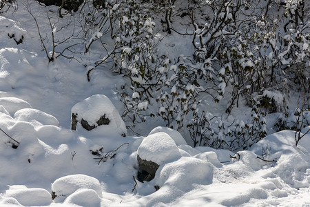 毕棚沟风景区冬季摄影图