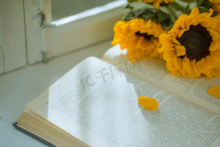 放在书上的向日葵鲜花摄影图