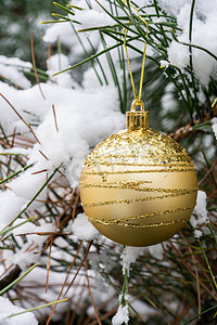 松枝上的白雪和金色的圣诞球