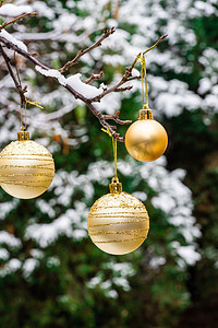金色圣诞摄影照片_落满积雪挂着金色圣诞球的树枝
