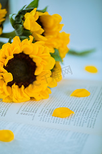 1月你好摄影照片_放在窗台上的向日葵和书