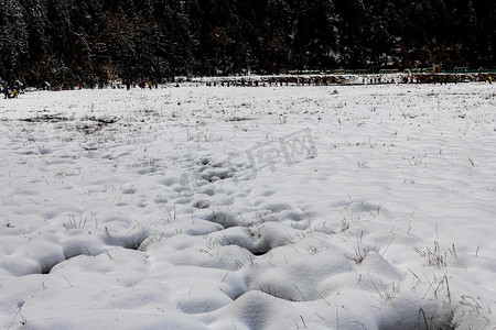 毕棚沟风景区冬季摄影图
