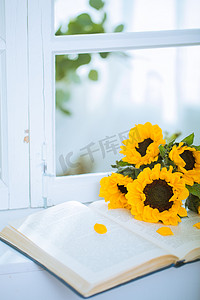 春天放在窗台上的向日葵花