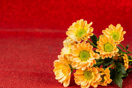 红色背景上的黄菊