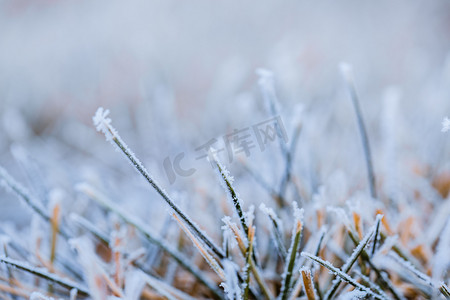 降温摄影照片_落了一层小雪的草坪特写镜头