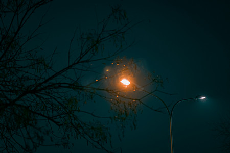 夜景道路摄影照片_冬季道路旁边枯树和路灯夜景