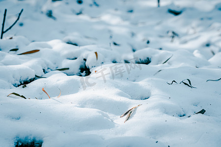 冬天大雪过后的草地地面风景