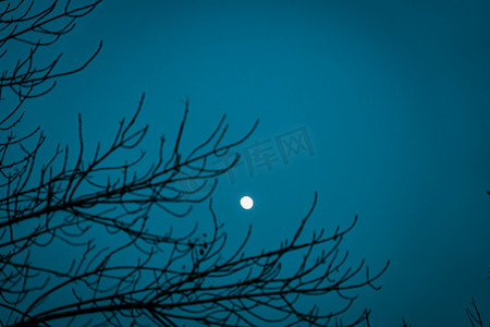 文艺夜景摄影照片_冬季夜空下的月亮