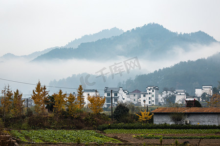 清明图片摄影照片_田园村庄山峰雨后云海图片