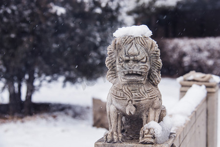 冬季雪景落满积雪的石狮子