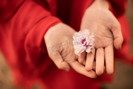 粉花摄影照片_室外手棒粉花的红装美女双手文艺摄影图