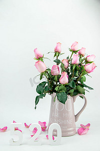 520浪漫表白摄影照片_情人节粉色玫瑰花背景