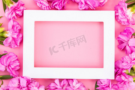 公告栏边框摄影照片_康乃馨花朵边框