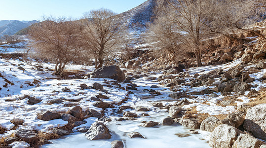 内蒙古山村冬季冰雪树木