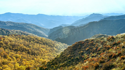 内蒙古山峦植物秋色