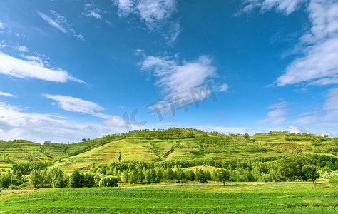 内蒙古山村夏季植被景观