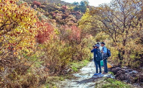 橙色风景摄影照片_风景上午两人树林旅游摄影图配图