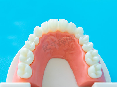 白色牙齿摄影照片_爱牙日口腔护理健康牙齿牙齿牙刷室内刷牙摄影图配图