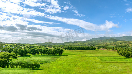 草地农田摄影照片_内蒙古夏季田野景观