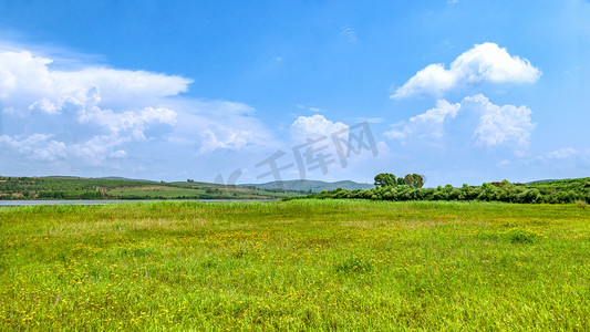 内蒙古草原夏季景观