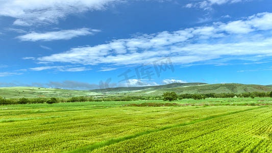 绿色清新低纹摄影照片_内蒙古山村农田景观