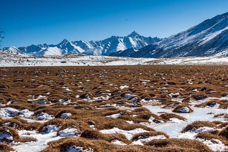 西藏风景摄影照片_西藏八宿美景白天雪山室外摄影摄影图配图