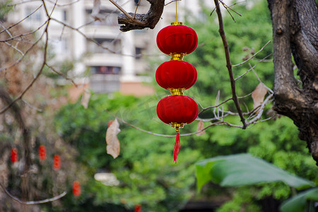 过年户外摄影照片_春节白天灯笼户外高挂摄影图配图