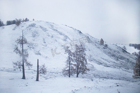 冬天新疆深秋山雪下雪摄影图配图