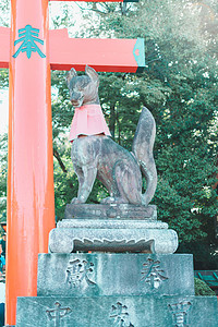 双11京东logo摄影照片_日本京都清晨石狐狸故神社神社门口摄影图配图