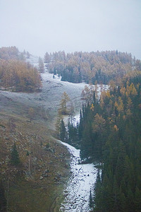 冬冬季摄影照片_新疆深秋树山下雪摄影图配图