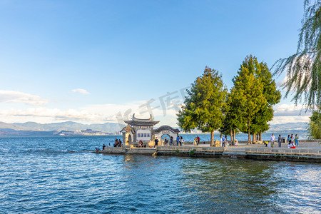 云南花市摄影照片_云南夏天洱海海边旅游摄影图配图